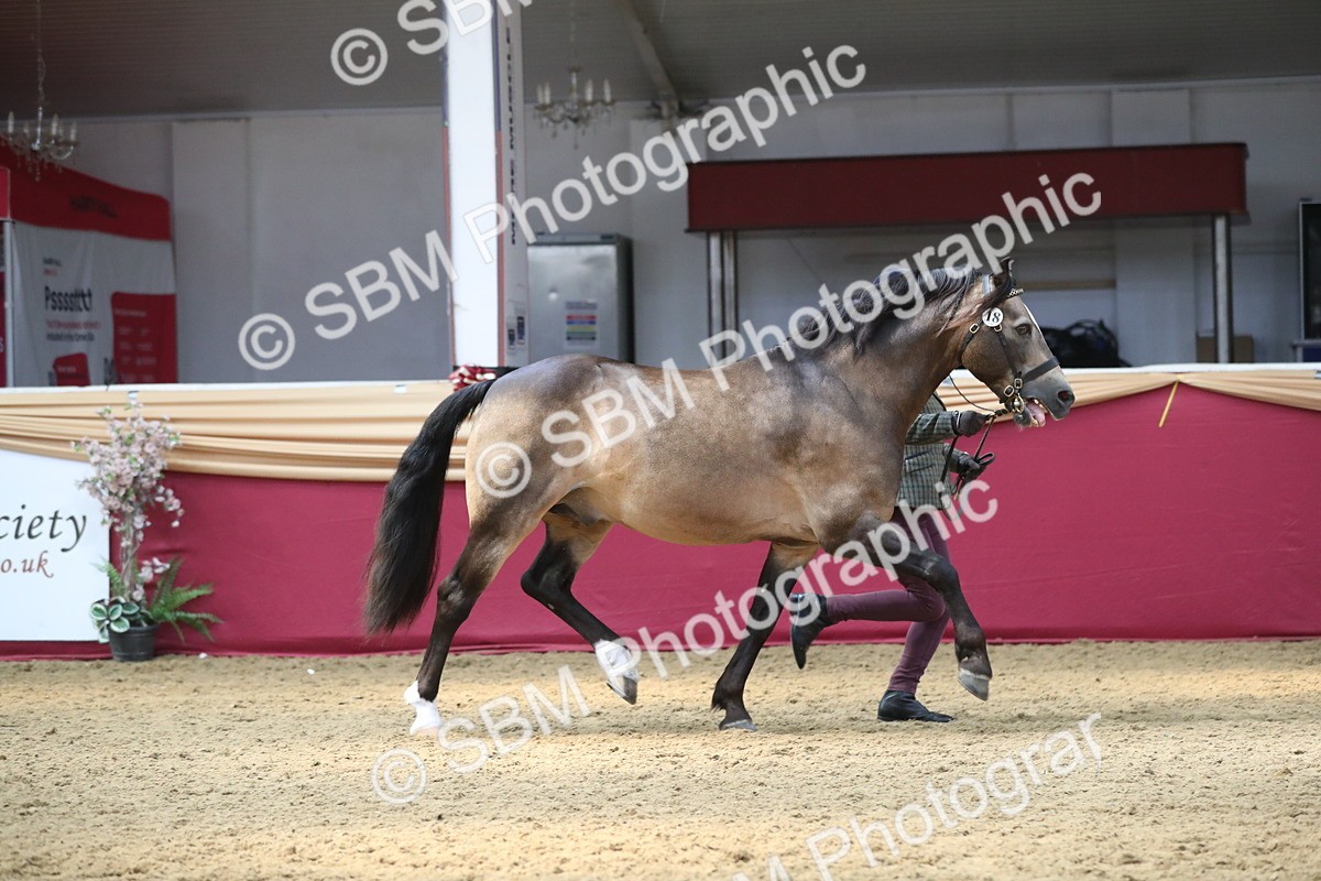 SBM_15134 - Class 501 M&M IH Supreme Final