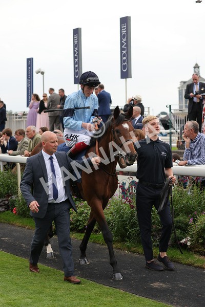 yr20082021r5-5 - Race 5 4.10pm British Stallion Studs EBF Convivial Maiden Stakes (Plus 10 Race)