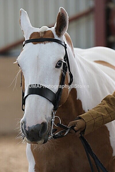 SIAL0144 - Indoor Classes