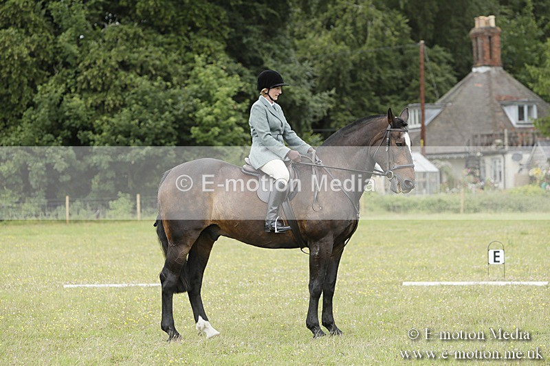 BVR160717-1406 - Class 3 Dressage 16/07/17