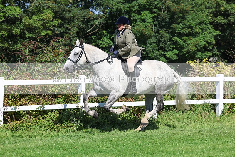 3E7A8421 - Class 4: Novice working Hunter