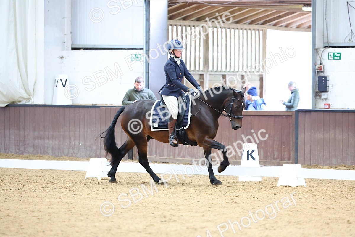 SBM_002331 - Novice 2