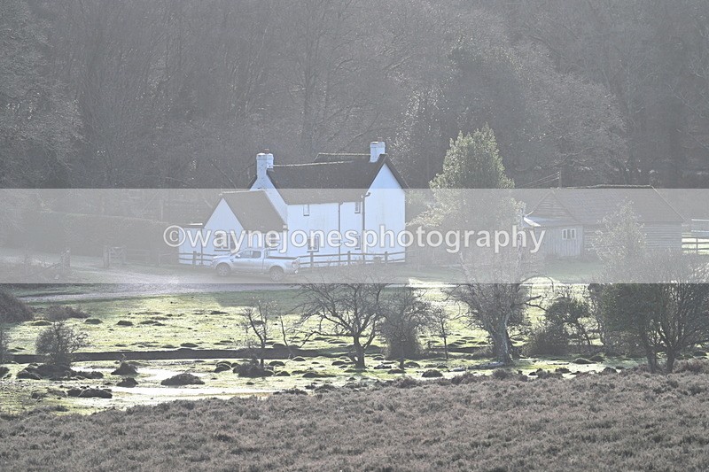 WJ7_7836 - Line 3 (no line 4 or 5)