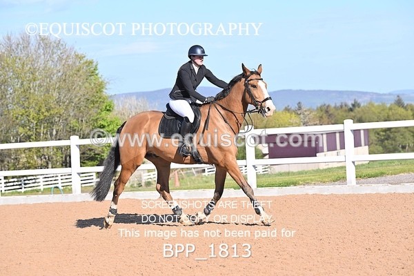 BPP_1813 - CLASS 1 - FRI - KBIS Club Senior 70cms