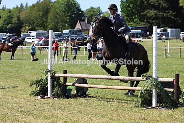 IMG_4022 - Working Hunter