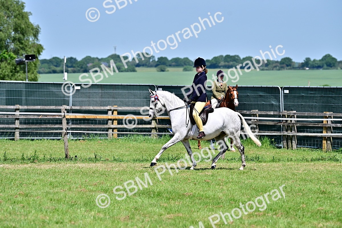 SBM_15374 - Class 95-97 - BSPS LHS Performance Ponies