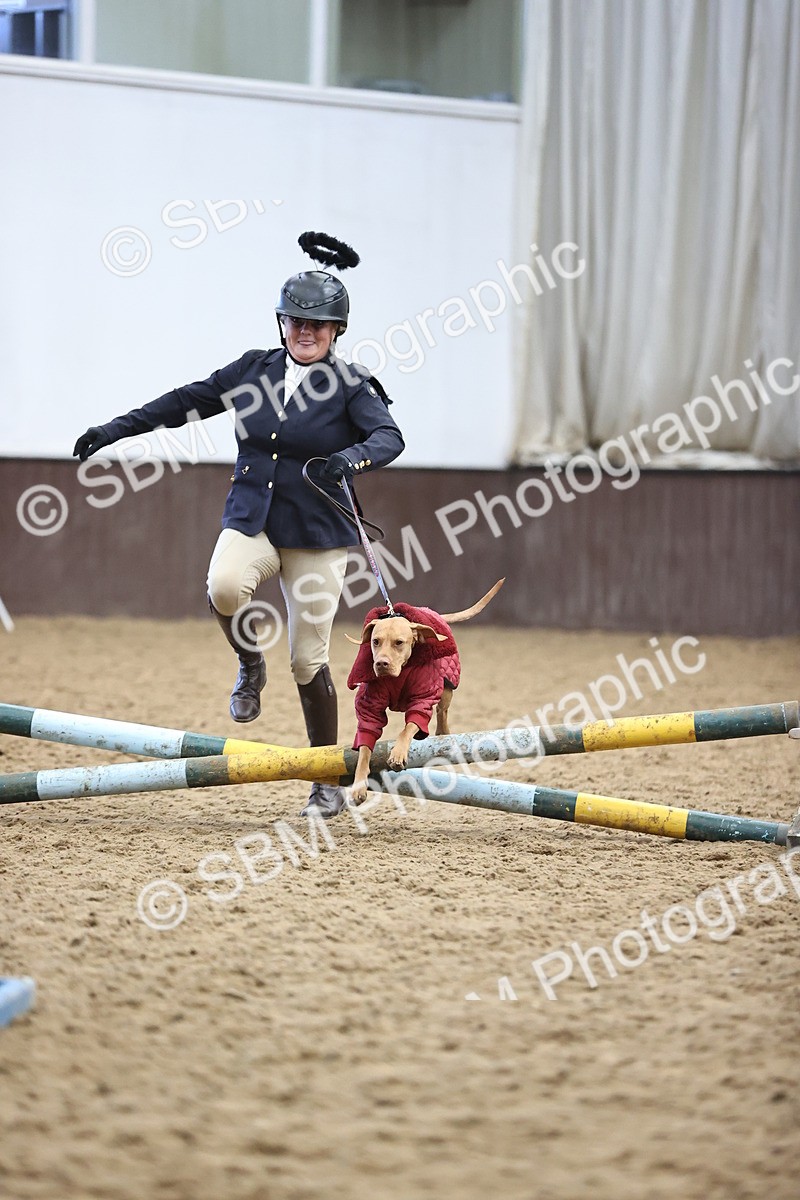 SBM_001475 - Class 3 - Horse & Hound 60cm
