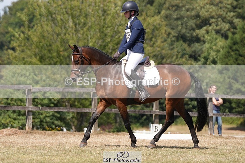 250823A-124137-29331 - Arena A