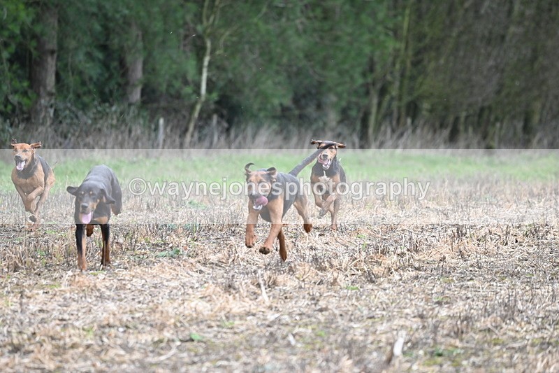 WJ6_9431 - Line Four