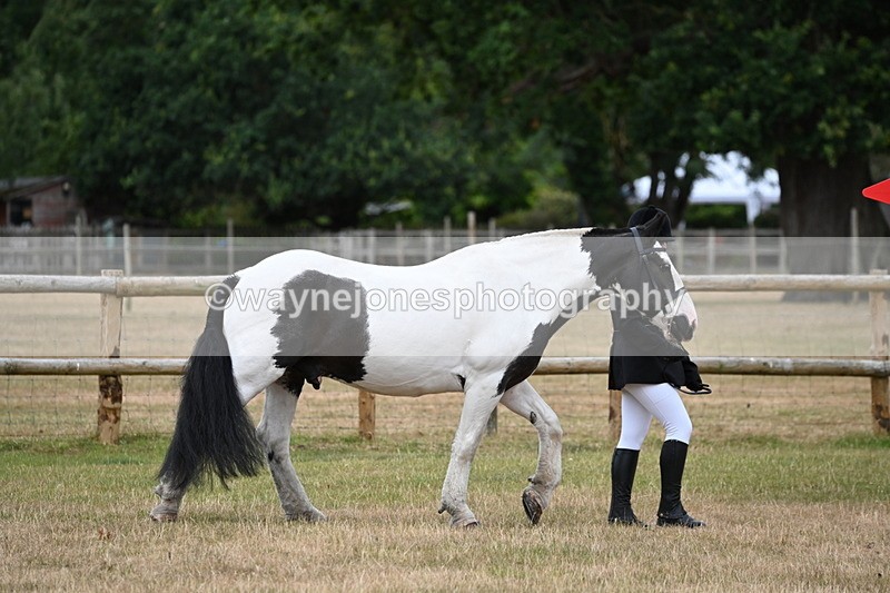 WJ6_4159 - Class 10 Coloured In-hand
