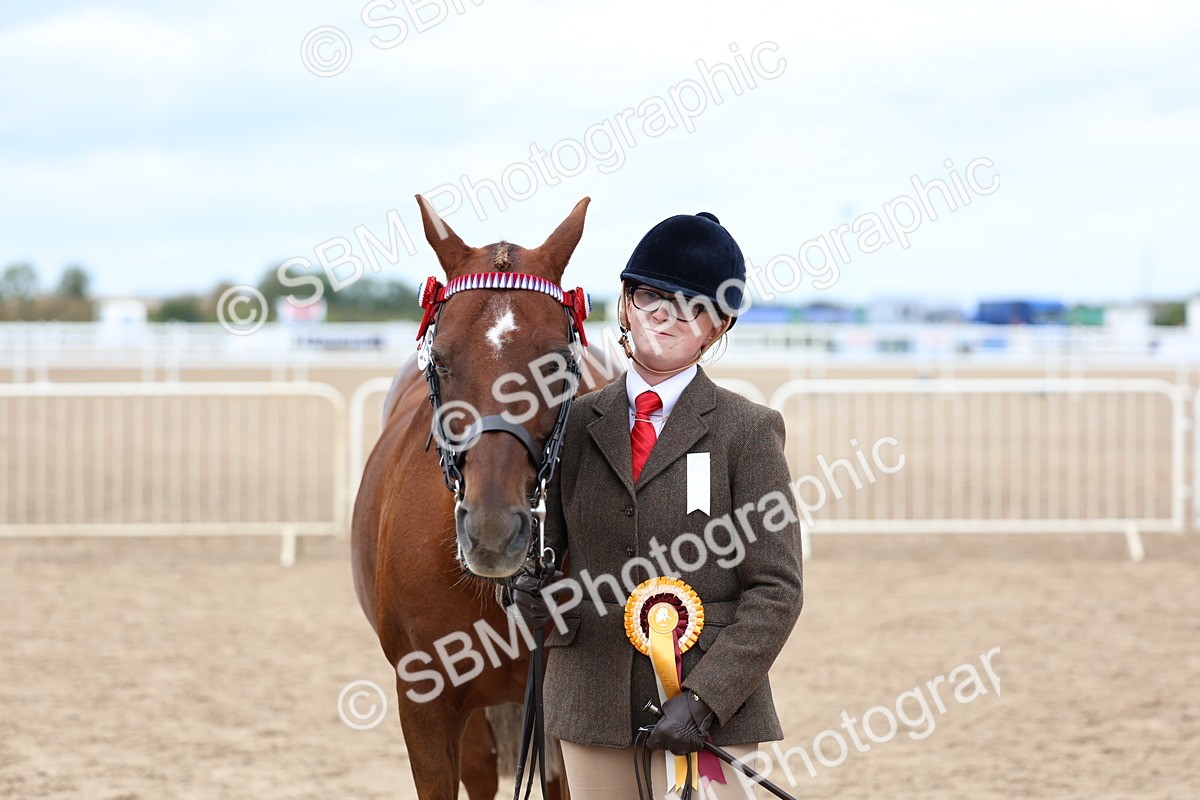 SBM_05983 - Class 29 - IH Veteran Pony