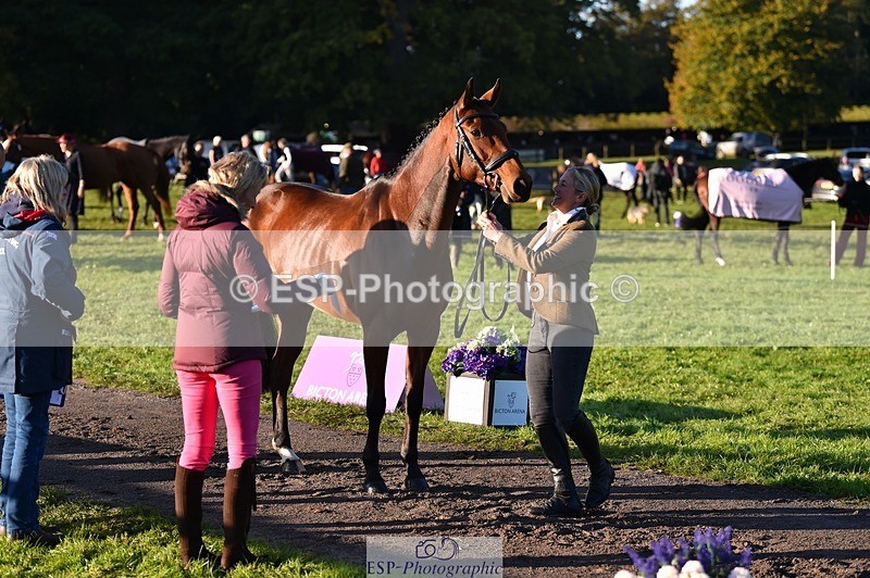 231022-091824-21686 - 650-NAOMIE.VAN.DE.BROUWERSHOEVE-Lara.Salter-TrotUp+SJ