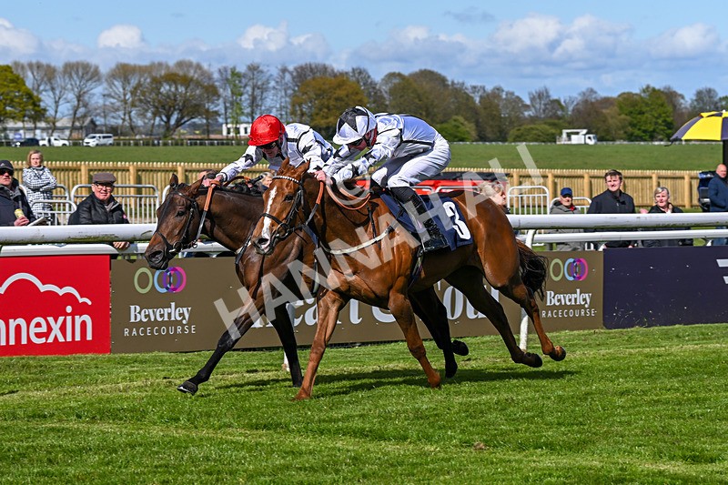 250424-Race 4-Classy Boy-1319 - Race 4