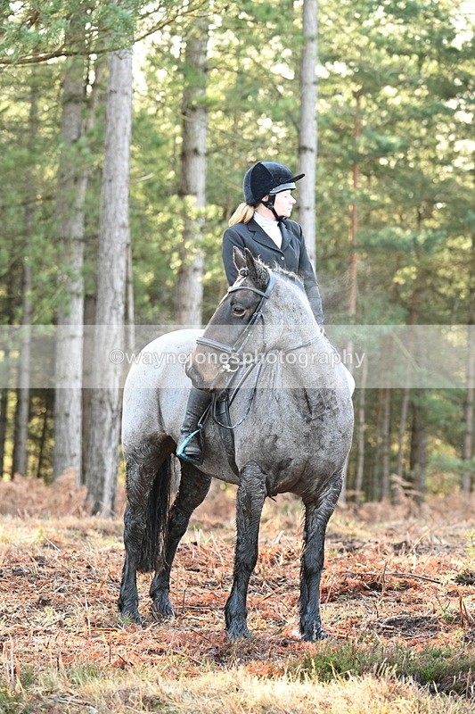 WJ7_7455 - Line 3 (no line 4 or 5)