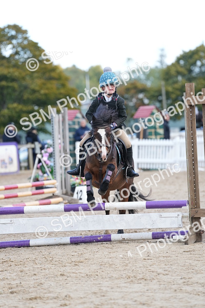 SBM_20644 - J49 - Open 50cm