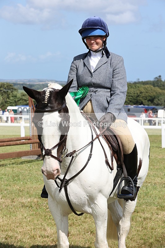 JPP_2459 - Class 19: Working Hunter 60cm