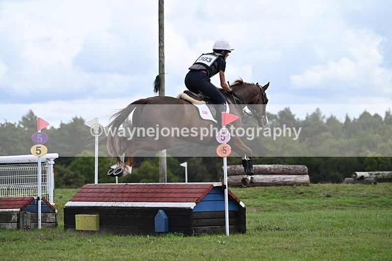 WJ7_1591 - Time 12:34 to 13:16