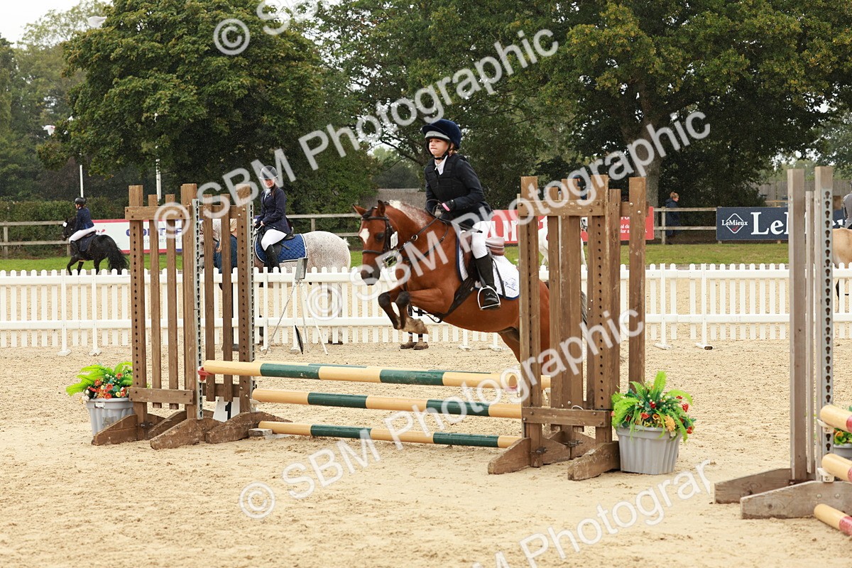 SBM_69203 - J13 - Junior Pony 60cm Championship