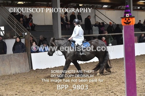 BPP_9803 - CLASS 1 CROSSPOLES