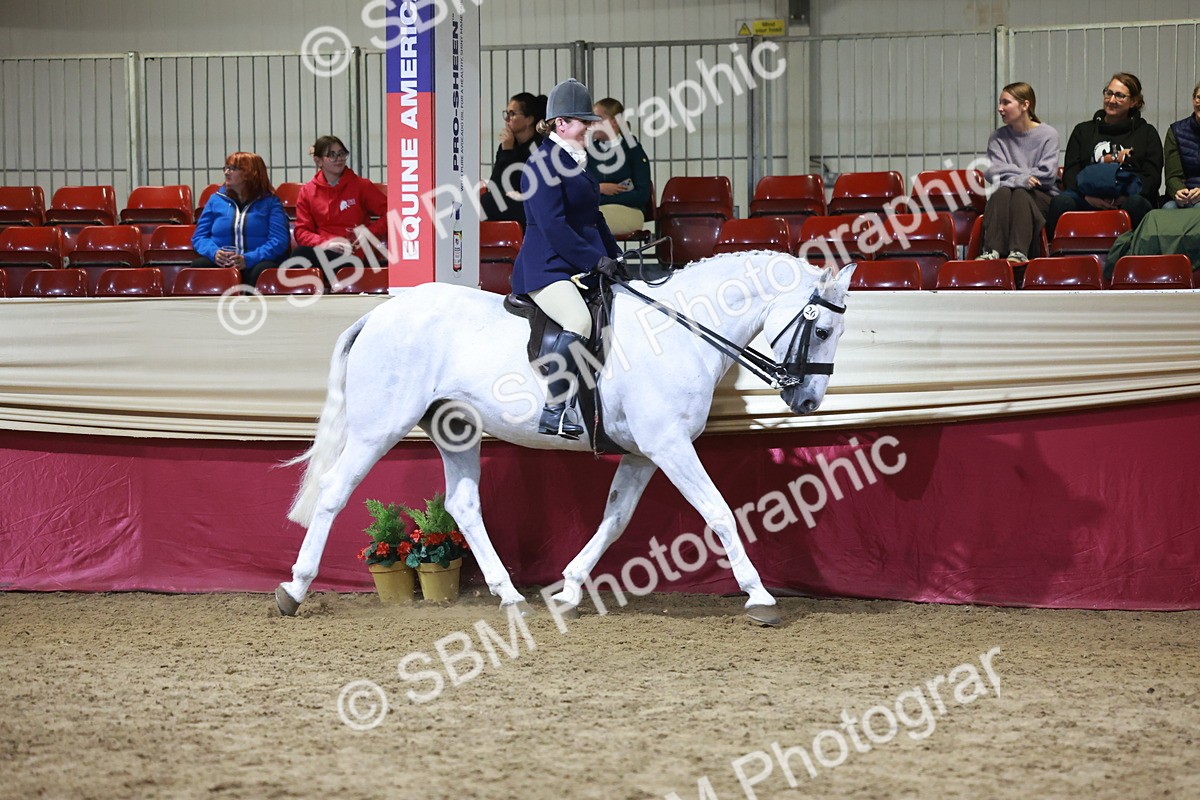 SBM_21560 - Class V - Champion of Champions