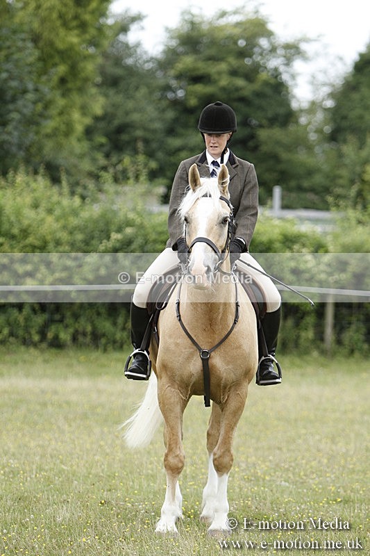 BVR160717-428 - Ring 3 BVRC Show 16/07/17