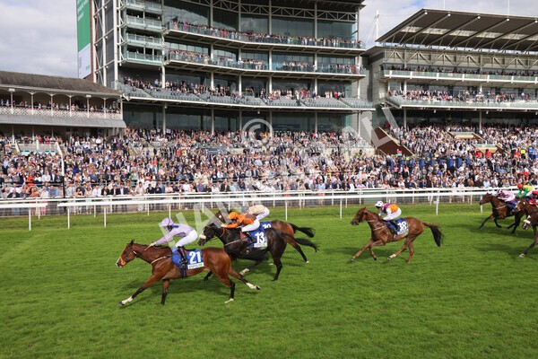 yr11062022r8-50 - Race 8 5.25pm Clean up with PPS Stakes
