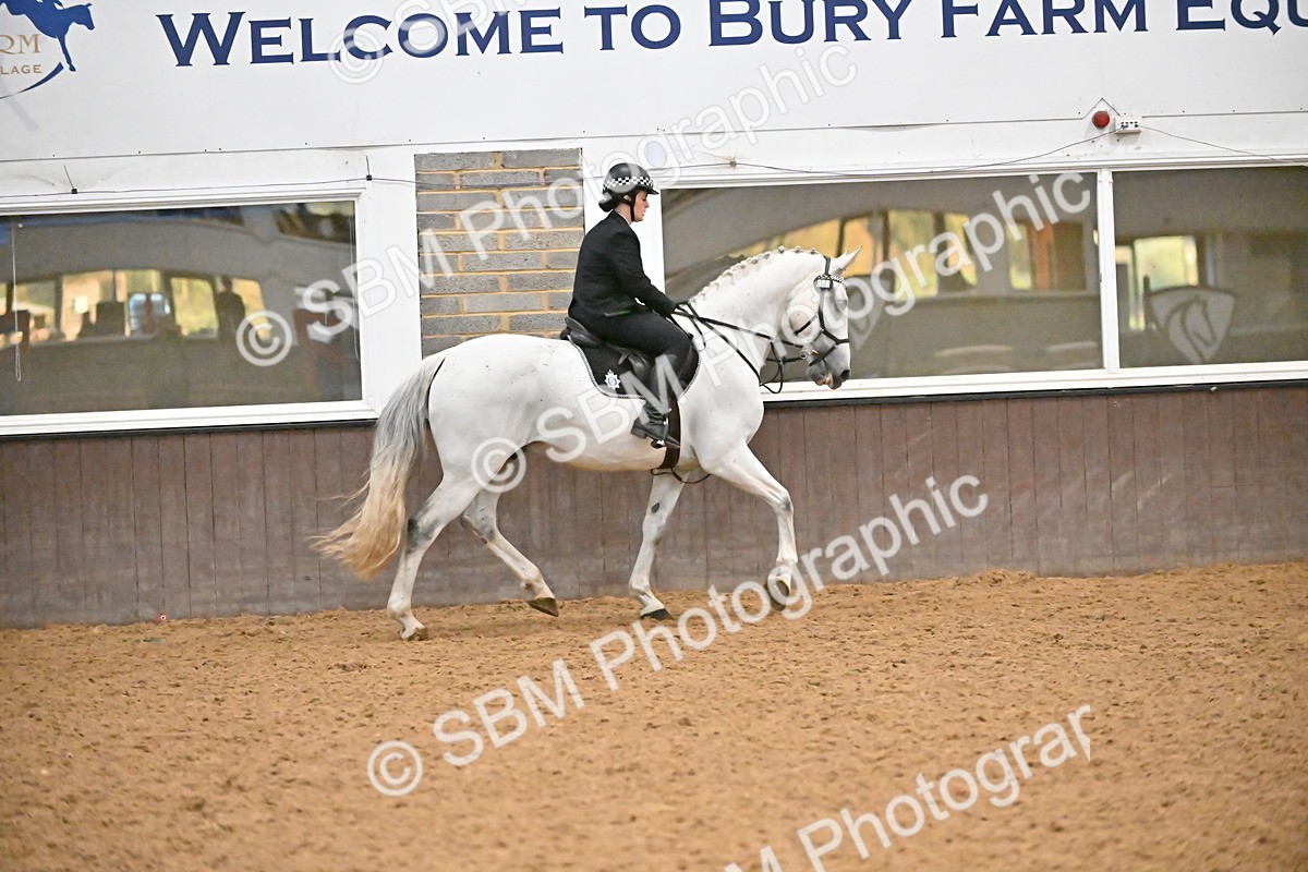 SBM_002986 - Class 37,38 - UKPSAF Performance Horse & Pony
