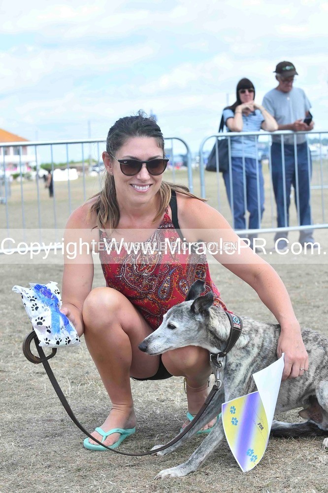 SH4_0196 - Dog show.