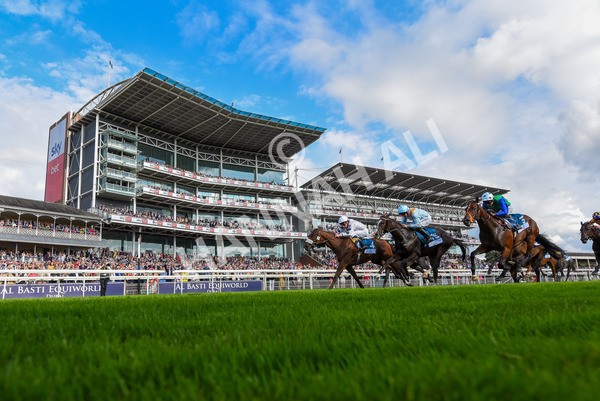 240823-Race 6-Gushing Gold-1320 - Race 6 4.45pm Or8Wellness EBF Stallions Nursery Handicap