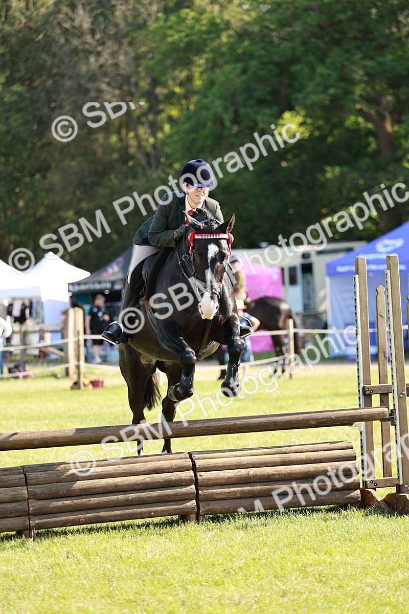 SBM_19195 - Class 115-116 - LIHS BSHA Rising Star Working Hunter & Show Horse