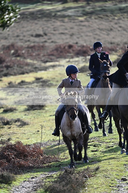 WJ7_8077 - Line 3 (no line 4 or 5)