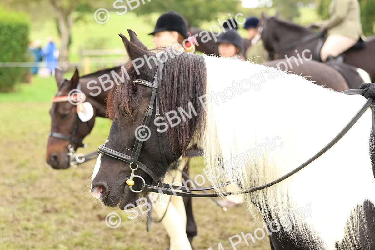 SBM_59956 - S36 - Rehabiliated Rescue Horse & Pony In Hand & Ridden