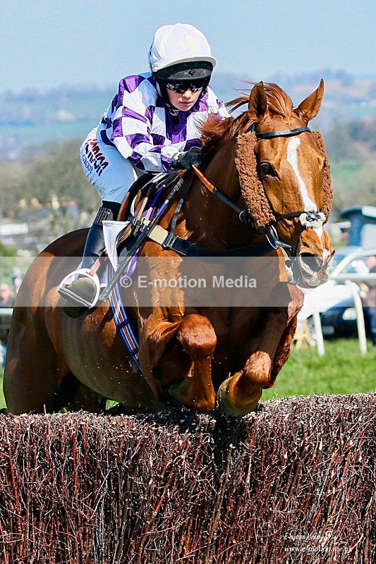 PtP 200322 35a - Equestrian