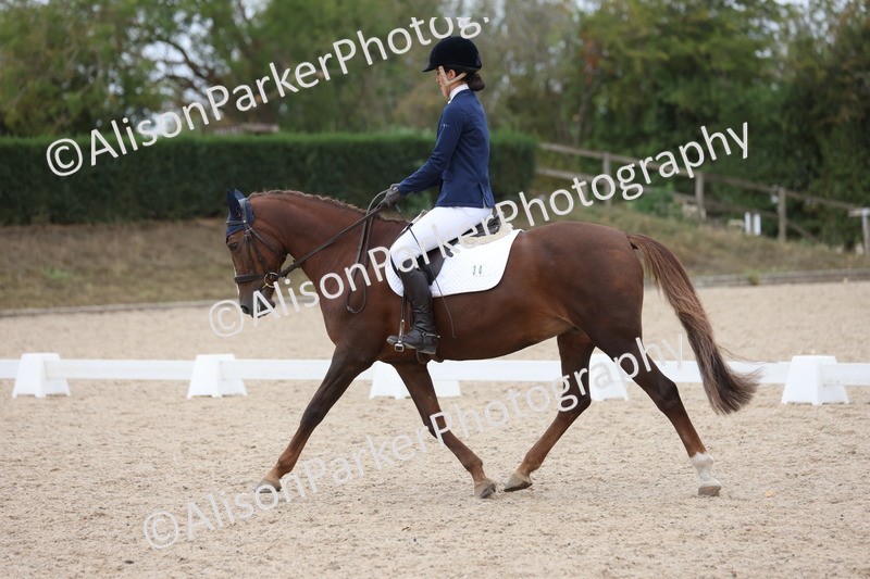 20250820-1117 - Class 17 - Elementary 4