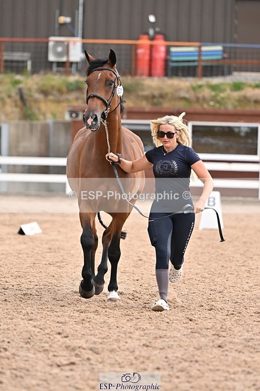 250716-145434-01497 - Trot Up 2.30 to 3.30