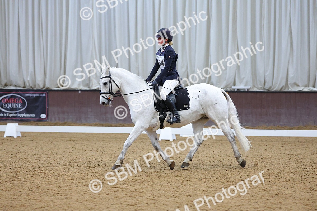SBM_004175 - Intermediate
