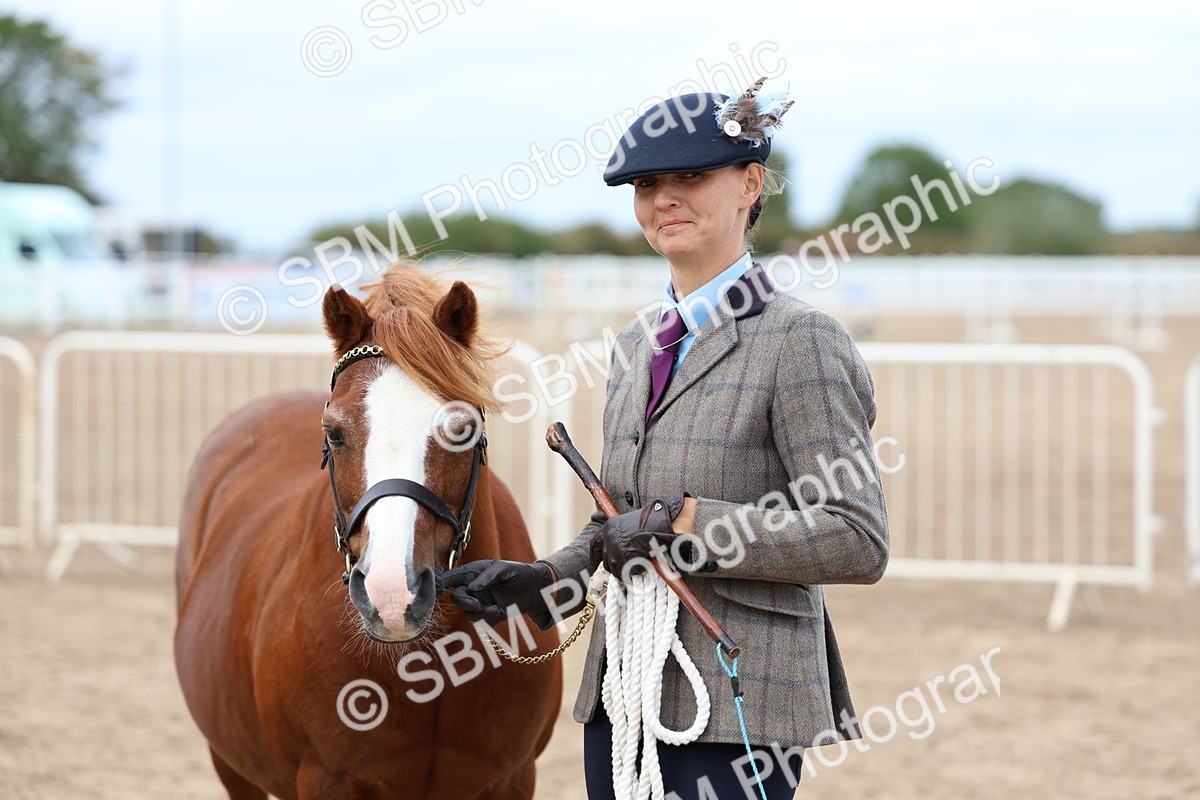 SBM_05903 - Class 29 - IH Veteran Pony