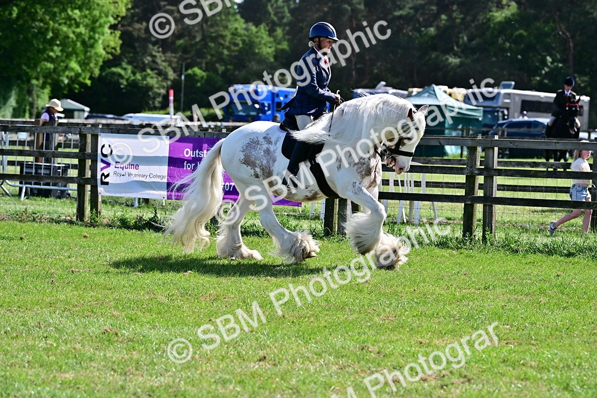 SBM_09309