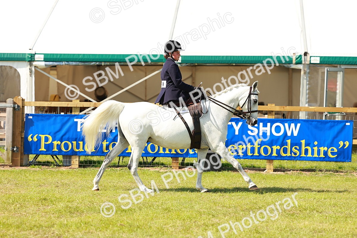 SBM_13185 - Class 70-71 - Side Saddle