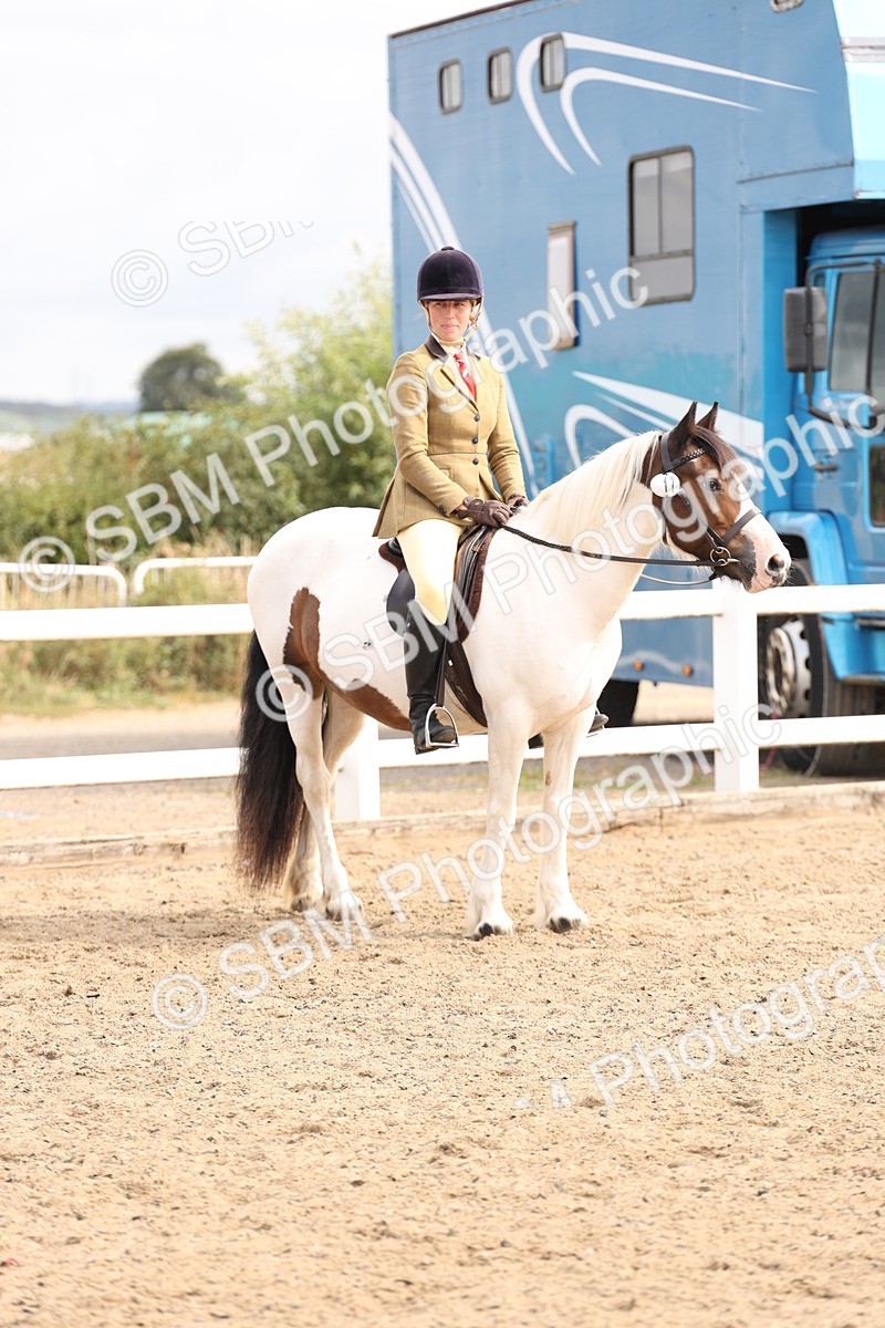 SBM_04290 - Class 54 - Riding Club Horse/Pony