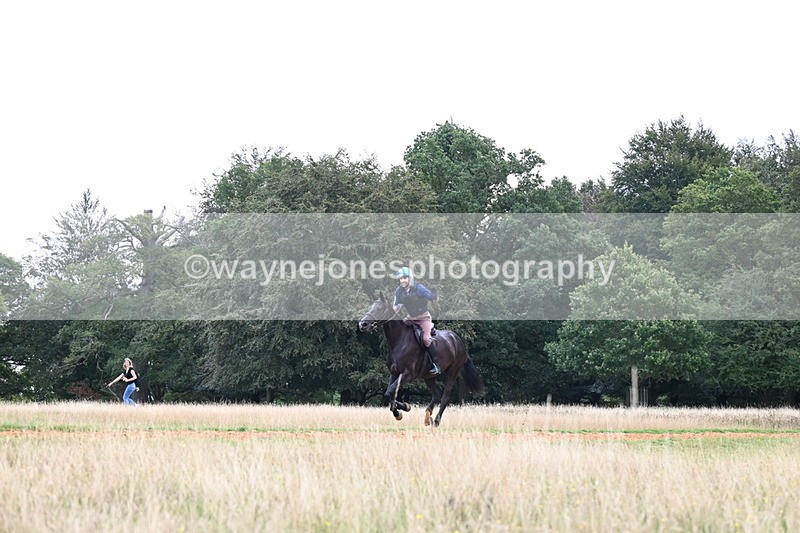 DSC_6492 - Time at Statue 12:17 to 12:44