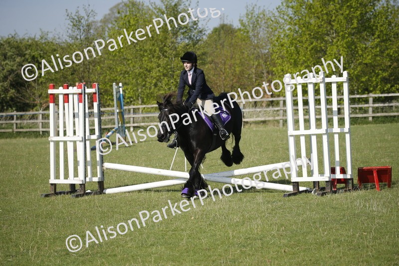 20250427-0387 - Class 12 - Rookie Jumping 40cm