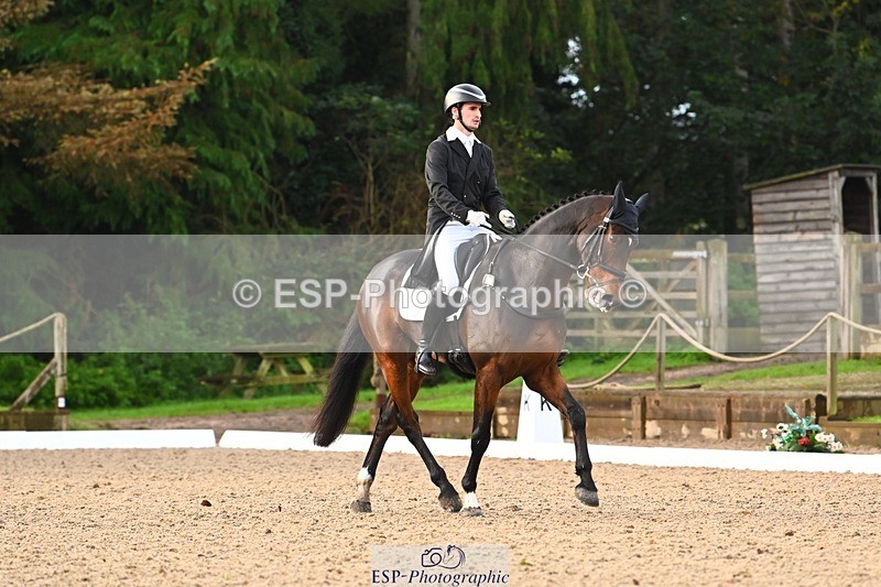 231021-091433-12803 - 324-HAZZLE.DAZZLE-Henry.Hobby-DR