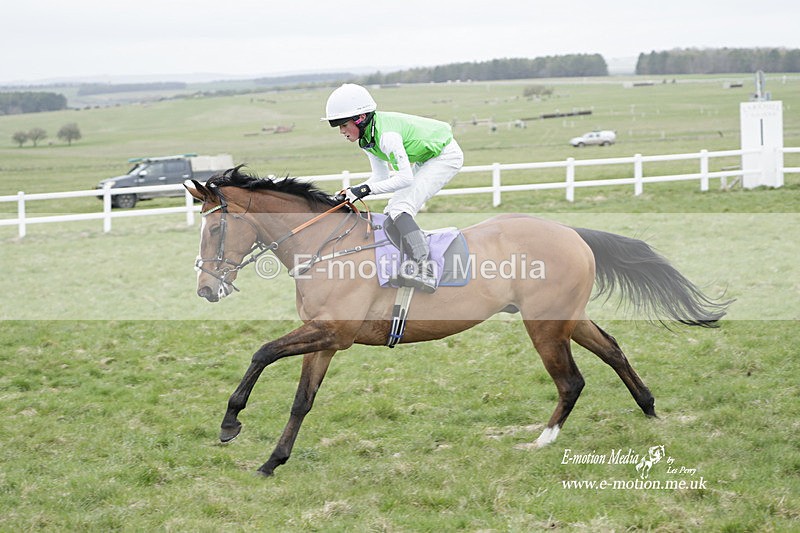 PtP 260323 1139 - New Forest Hounds Point-to-Point Larkhill 26/03/23