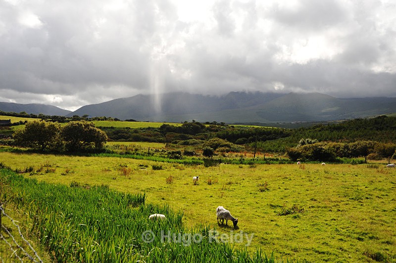  - Some Selected Images