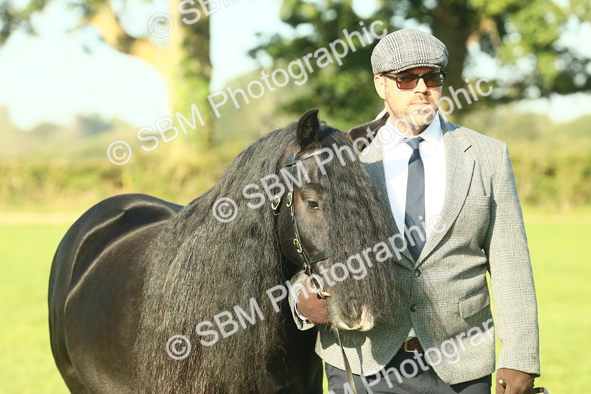 SBM_58617 - S37 - Starters In Hand Showing