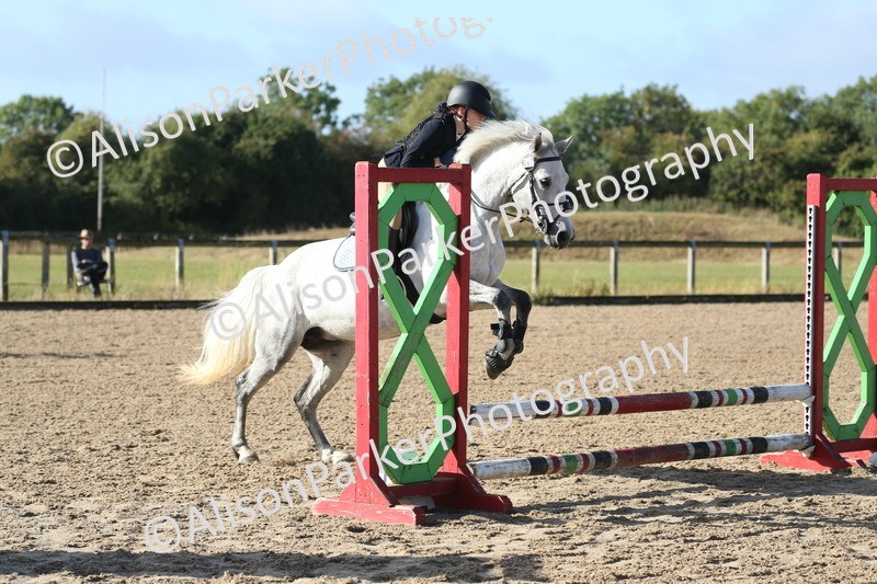 20250831-0168 - Class 2 - 50cm