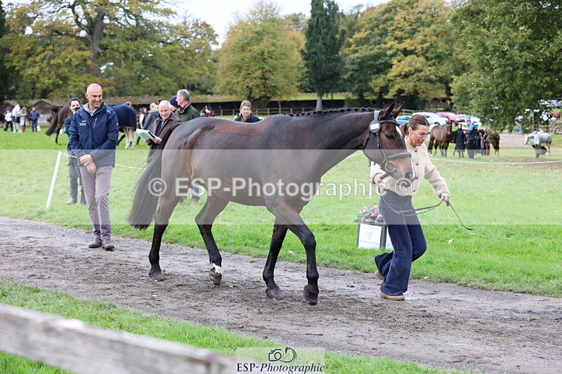 251026A-105058-23318 - G-524-Emma.Ergatoudis