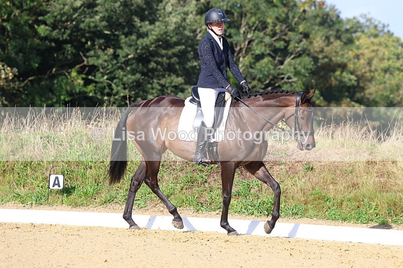 3E7A2095 - Class 1: Intro 4 2024 section A