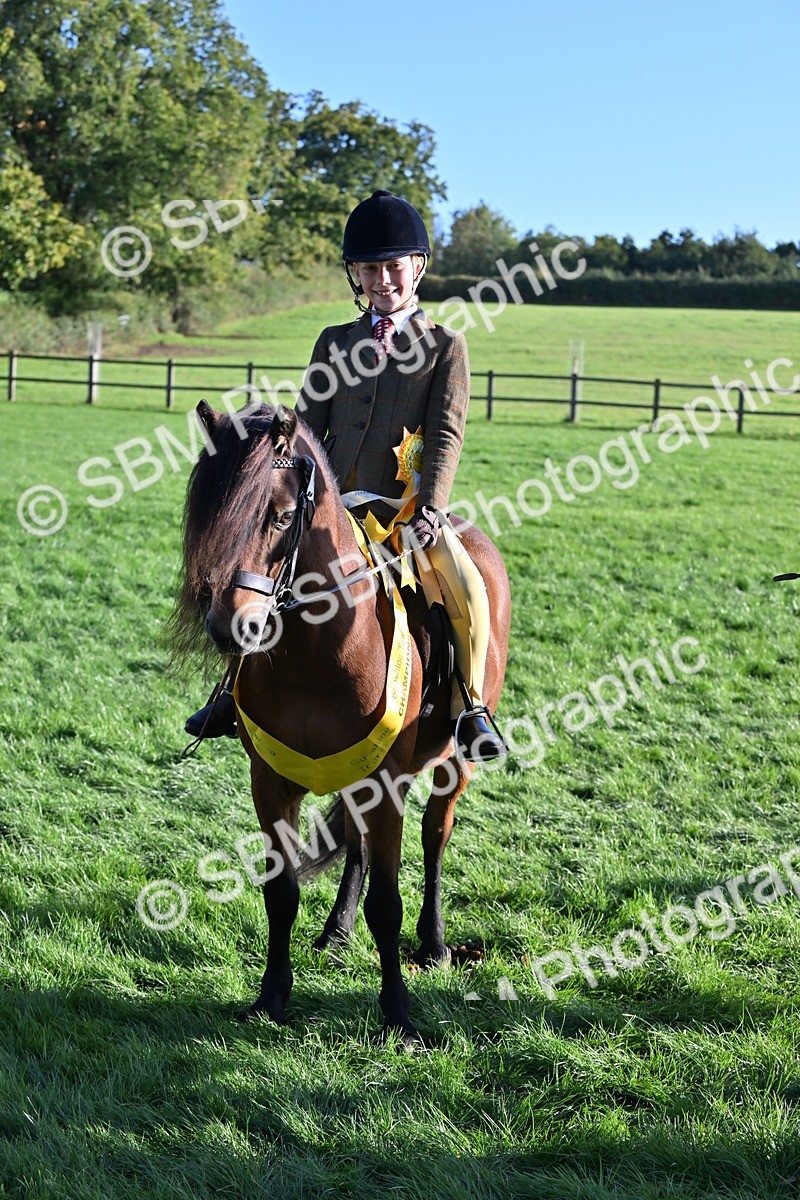 SBM_53073 - S23 - First Ridden Mountain & Moorland Pony